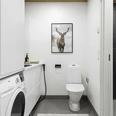 Vuonelo Iso-syöte Lomamökit *