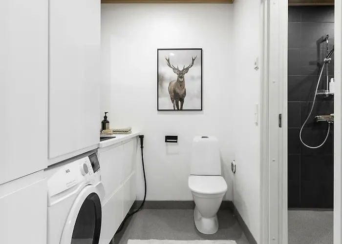 Vuonelo Iso-syoete شاليه *